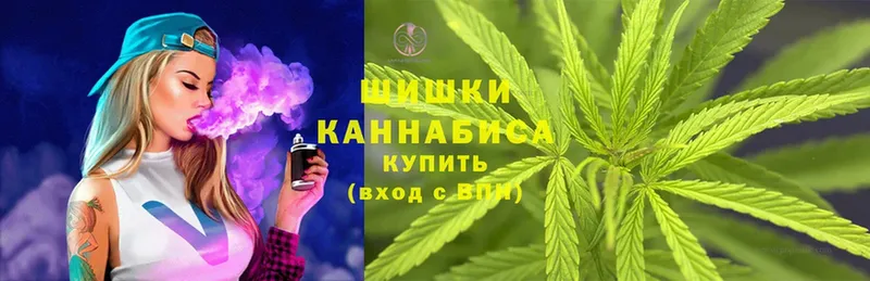 купить закладку  Десногорск  Канабис Amnesia 